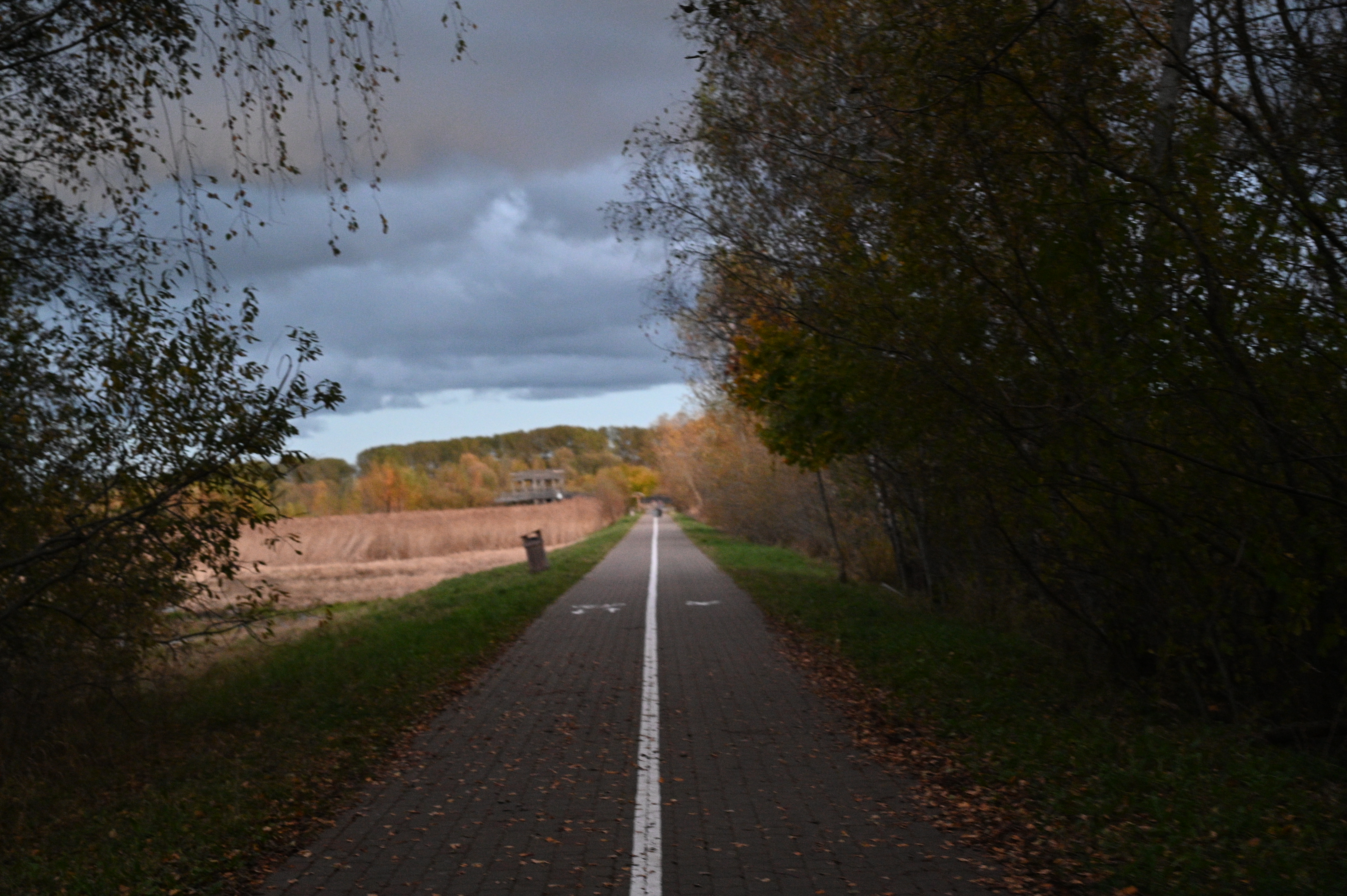 2025/10/18 - walk/DSC_0600.JPG